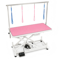Table de toilettage pour animaux à hauteur réglable avec élévateur électrique, fonctionnement silencieux, structure robuste et surface de travail résistante à l'eau