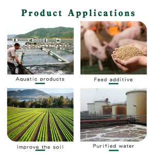 Poudre de zéolite 4A en gros, qualité détergente, personnalisable pour <span class=keywords><strong>lessive</strong></span> en poudre, savon, agent de renforcement de détergent, approvisionnement en vrac - Product Image 6