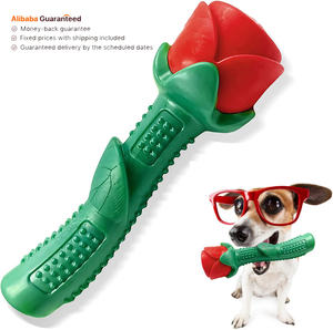 Toptan özel Enchanted gül köpek oyuncak hediye doğum günü sevgililer günü köpek yavrusu eğitim ve temizlik için oyuncak çiğnemek diş - Product Image 1