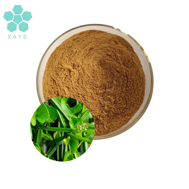 High quality 20:1 cissus quadrangularis extract powder