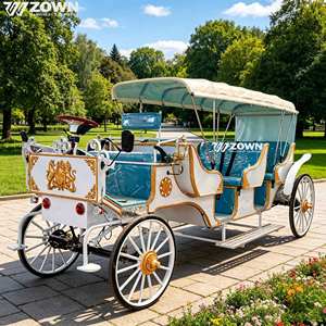 Carruaje Eléctrico Personalizable para Turismo, Vehículo de Paseo a Batería para Desfiles en Parques Temáticos y Funciones de Boda - Product Image 1