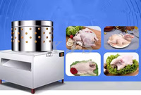 Machine d'épilation de poulet et de canard Plumeuse commerciale de volaille de poulet Plumer la machine d'épilation de poulet