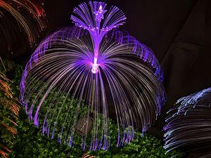 Venta Directa al por Mayor de Faroles Decorativos Coloridos para Exteriores, Lámpara <span class=keywords><strong>Solar</strong></span> LED de Fibra Óptica <span class=keywords><strong>con</strong></span> Forma de Medusa, Resistente al Agua, para Jardín <span class=keywords><strong>y</strong></span> Patio - Product Image 5