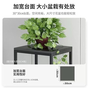 Black Iron Plant Stand 2 Tier <b>Modern</b> Minimalist Indoor Floor Standing For Living Room Decorative Flower Pot Holder - Product Image 3