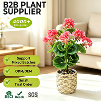 Mini-plantes artificielles roses de qualité commerciale en pot de rotin de 43 cm pour décoration de bureau, avec boîte intérieure personnalisée