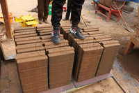 Machine automatique de fabrication de briques en terre cuite emboîtables, machine à mouler et à presser les blocs de terre compressible