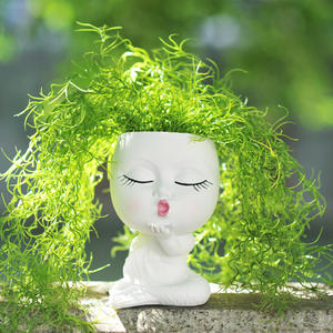 Jardinière succulente populaire avec arrangement en résine de conception d'<span class=keywords><strong>arbre</strong></span> de verdure mignon pour la décoration intérieure pour la maison ou le bureau - Product Image 3