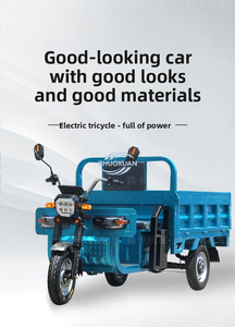 Freight Electric Three-Wheeler Open Body Agricultural Use Heavy-Duty Cargo Capacity (400kg Payload) Durable Model 60V Battery - Product Image 5
