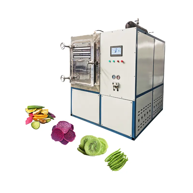 फ्रीज ड्रायर चीन इलेक्ट्रिक हीटिंग के लिए उपयुक्त फल खाद्य चिकित्सा उपकरण रुक सूखे खाद्य फ्रीज इस्तेमाल किया सूखी मशीन बिक्री के लिए