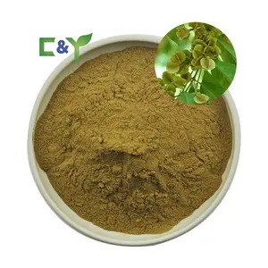 Manufacturers selling natural Sakae Naa Extract Sakae Naa 100:1 Combretum Quadrangulare Extract