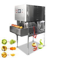 Automatische mango-, aardappel-, papaja- en wortelschilmachine van SUS304 food grade materiaal, voor het schillen van groenten en fruit.