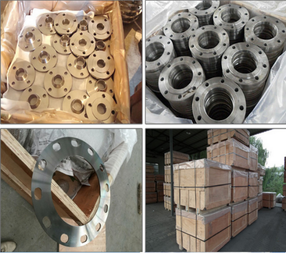 Custom DIN2576 Pn40 St37.2 Pl Ss Flanges ISO Standard Super Duplex Stainless Steel Flange Alloy Metal Flange