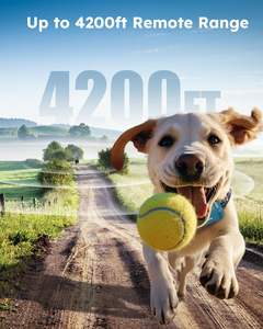 Venta directa del fabricante de confianza: dispositivo avanzado de entrenamiento para perros, <span class=keywords><strong>Collar</strong></span> para perros con vibración y modos de descarga eléctrica - Product Image 2