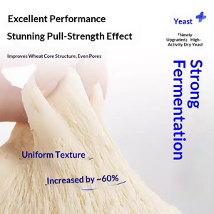 <span class=keywords><strong>Levadura</strong></span> en Polvo de Alta Actividad 48g Halal para Uso Doméstico en Panecillos al Vapor y Pan Bajo en Azúcar, Recién Mejorada - Product Image 3
