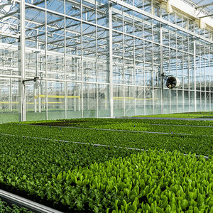 Túnel de película PE de invernadero agrícola de un solo tramo verde de una hoja con construcción de acero - Product Image 4