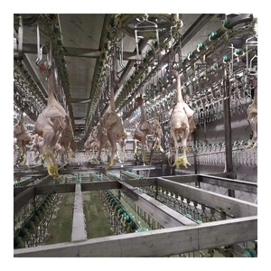 Chuyên Nghiệp Lớn Phòng Lạnh Lưu Trữ 100ton Để 100,000 Tấn Lớn Phòng Lạnh Tủ Đông Phòng - Product Image 4