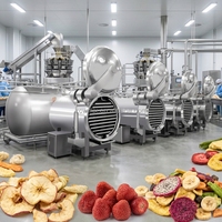 Automatische groentepuffmachine, appelchips- en fruit-vacuümdrukverschil-puffmachine