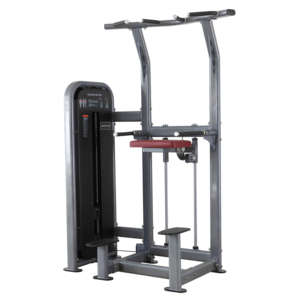 Machine d'assistance pour dips et tractions robuste, équipement de fitness commercial, fabricant d'équipements de gym personnalisés OEM - Product Image 1