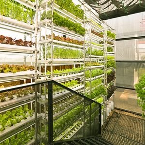 Đan mạch chuyển đổi hàng hóa Trike Xe đẩy giỏ hàng Hà Lan hoa kim loại xe đẩy cho các công cụ Giao thông vận tải ngoài trời CE chứng nhận - Product Image 5