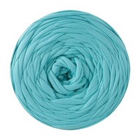 Fil à crocheter en polyester 100% doux et élastique, rouleau de 300g, haute résistance, pour tricot manuel DIY, sacs faits main et fil à t-shirt