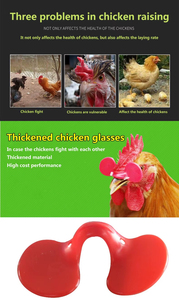 Gafas de plástico antipicaduras para pollos de engorde, tipo máscara ocular - Product Image 4