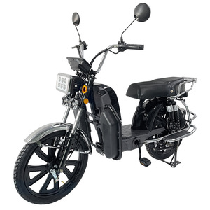 Vélo électrique domestique de 20 pouces, 800 W, batterie au lithium 60 V, moto - Product Image 2