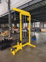 Máquina de cable multifuncional comercial 2 en 1 para dominadas y remo bajo para entrenamiento de fuerza