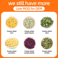 Gemengde fruit- en groentechips, VF groenten, FD fruit, premium selecties, snackmix voor groothandelsmarkt export
