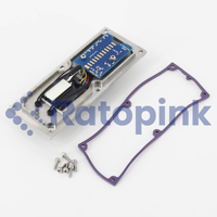 Plaque de Déflexion Type V Ratopink VB399180 avec Buse 70U, Remplacement pour Imprimante CIJ Série V-jet 1000