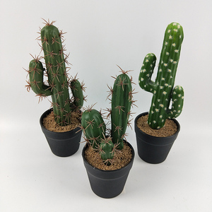 <span class=keywords><strong>Cactus</strong></span> artificiel en <span class=keywords><strong>pot</strong></span> à arrivée rapide, plante succulente de simulation, fausse plante verte d'intérieur en <span class=keywords><strong>pot</strong></span> <span class=keywords><strong>pour</strong></span> la maison, le bureau, la table - Product Image 6