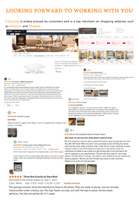 CityLife Modern Redbook Organizador de escritorio Caja de maquillaje transparente de gran capacidad con cajones para mascotas a prueba de polvo Almacenamiento de cosméticos PP - Product Image 5