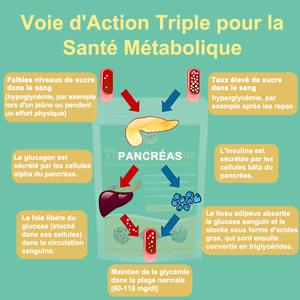 Thé Naturel Pour Le Pancréas Et La Glycémie Herbes Organic equiequilibre Du Sucre Et Sensibilité doğal otlar - Product Image 6