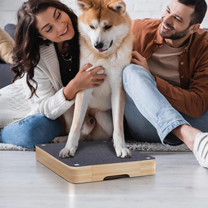 Planche à gratter pour ongles de chien Hovicaed, unique, pour tous les chiens, planche à gratter pour ongles, lime à ongles pour chien, jouet - Product Image 6