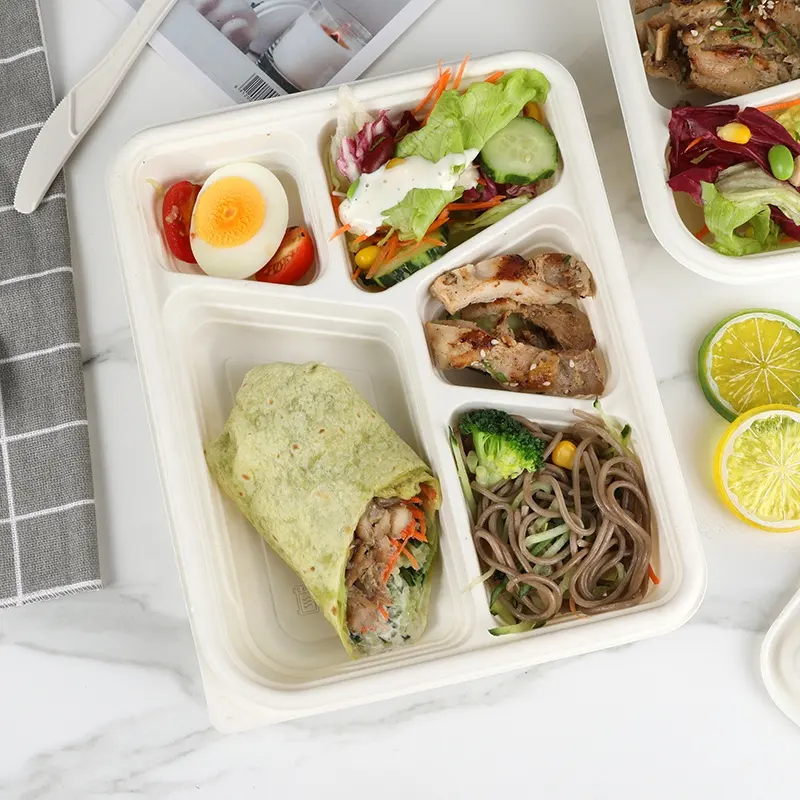 La scatola per alimenti usa e getta del ristorante elimina i contenitori