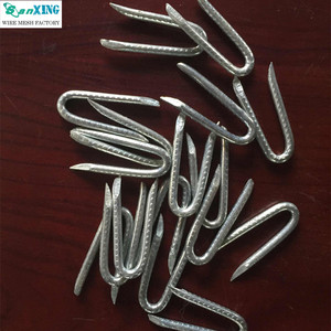 Clous en U galvanisés de 2,6 mm pour fixation de fil barbelé 1 pouce 25 kg/carton - Product Image 3