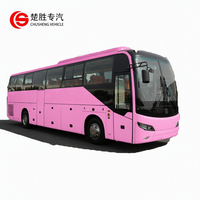 Bus diesel TengLong rose personnalisé de 10,5 m, neuf, conduite à droite, Euro 3, pour le transport de touristes et de passagers en ville