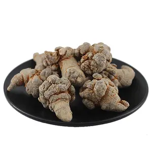 San Qi Số Lượng Lớn Trung Quốc Tự Nhiên Thảo Dược Sanqi/Khô Sanchi Gốc/Panax Notoginseng/Giả Nhân Sâm