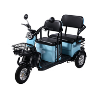 Tricycle Électrique à Double Siège 500W 48V, Vélo à Trois Roues pour Passagers en Acier Carbone avec Moteur Brushless pour Trajets Quotidien
