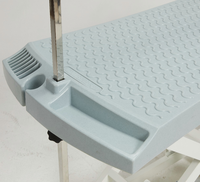 Table de toilettage pour animaux électrique et automatique avec cadre en acier et plateau en plastique réglable, conception hydraulique pour les animaleries et les salons