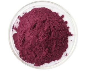 ビートから作られた栄養豊富な粉末 ビートルートエキスサプリメントパウダー - Product Image 3