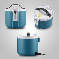 Vapor de sauna doméstica de 2,0 L de capacidad, generador de vapor portátil, adecuado para SPA doméstico, calentador de sauna, olla de acero inoxidable con T