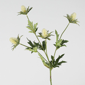 C235 Haute Qualité Fleur Artificielle Artificielle 10 Têtes Eryngo Fruit Salon Décoration Florale Artificielle <span class=keywords><strong>Eryngium</strong></span> <span class=keywords><strong>Foetidum</strong></span> - Product Image 5