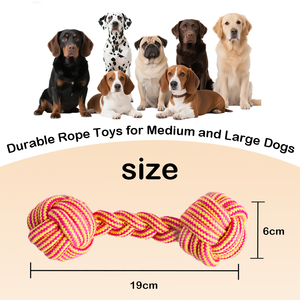 Jouet interactif pour chien en forme d'haltère classique, résistant aux morsures, avec <span class=keywords><strong>2</strong></span> balles, pour nettoyer les dents et jouer en intérieur - Product Image 2