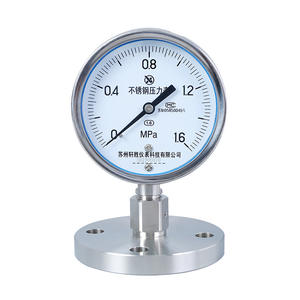 Manómetro de Diafragma de Acero Inoxidable Suzhou XuanSheng 100mm YTP100BF-MF -0.1 a 1.6Mpa - Product Image 1