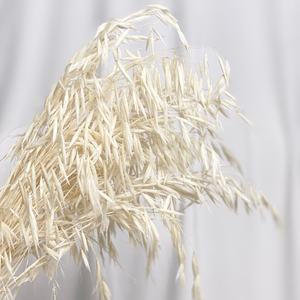 <span class=keywords><strong>Flores</strong></span> secas reales para decoración del hogar, hierba de Avena Sativa, ramo Natural salvaje, <span class=keywords><strong>flores</strong></span> secas para decoración del hogar - Product Image 3
