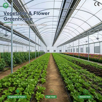 Serre commerciale multi-travées à arche, à faible coût, directement de l'usine, avec ventilation enroulable pour la culture de tomates et de légumes