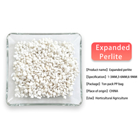 Perlite Horticole Blanc Pur de Qualité Supérieure pour Serres, Légumes, Fleurs et Cultures Hydroponiques Sans Sol – Approvisionnement Direct Usine