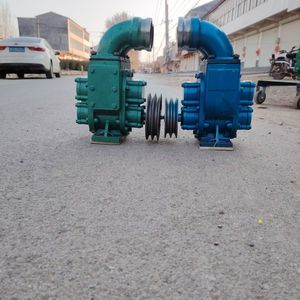 Bomba de Succión de Estiércol para Granjas de Ganado, para Granjas de Pollos/Cerdos, Dragado de Ríos, Bomba de Aguas Residuales - Product Image 2