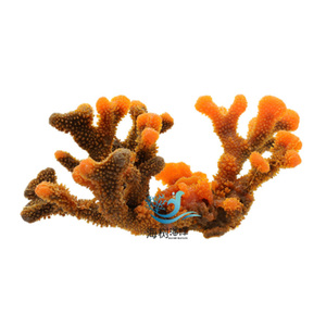 Décoration d'aquarium en résine PU corail artificiel, design sous licence, thème <span class=keywords><strong>Nemo</strong></span>, style <span class=keywords><strong>Nemo</strong></span>, pour chambre d'enfant - Product Image 3