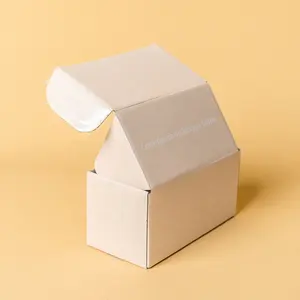 Piccola scatola di spedizione kraft di lusso in cartone ondulato con logo personalizzato e stampato